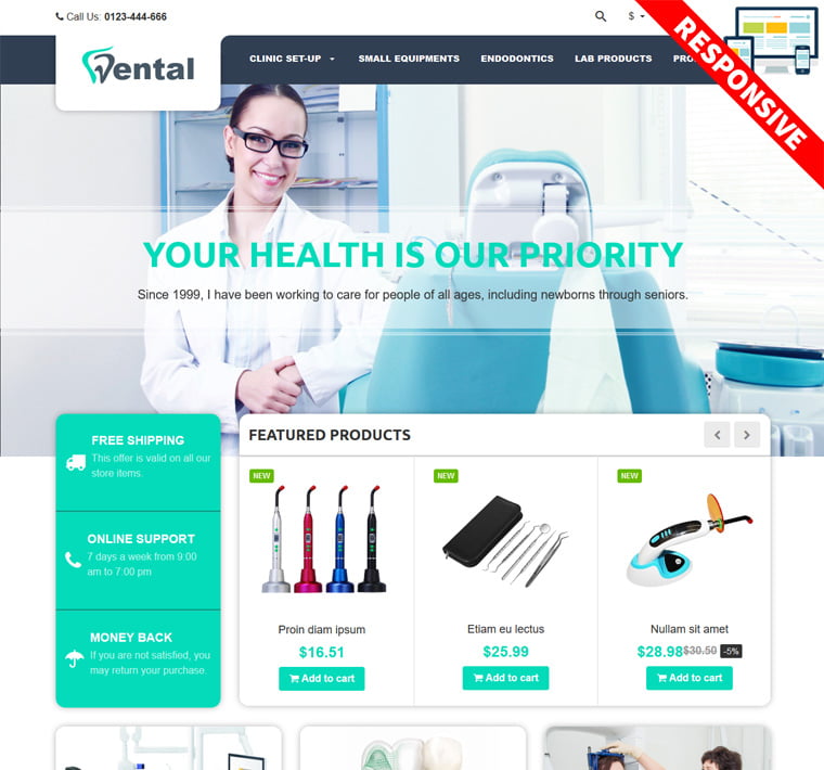 Dental Theme Themes and Modules Provider